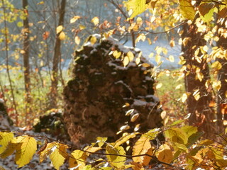 Die Vogtei Ruinen bei Neustadt/Harz, fallendes Laub im Herbst