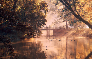 Jesienny mglisty poranek w parku, promienie słonca - obrazy, fototapety, plakaty