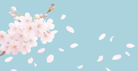 桜 イラスト リアル 背景