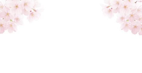 桜 イラスト リアル 背景 © akaomayo