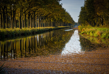 Ruiten A Canal surrounded by tall trees in autumn