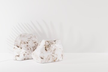 Granite stones on a light background and a leaf shadow. Concept of abstract background, background for products and product image. 3D render, 3D illustration.
