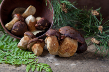 Imleria Badia or Boletus badius mushrooms commonly known as the bay bolete and clay bowl with mushrooms on vintage wooden background.