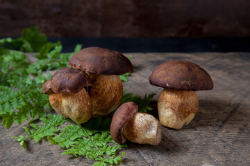 Several Imleria Badia or Boletus badius mushrooms commonly known as the bay bolete on vintage wooden background..
