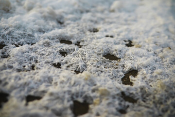 Winter snowy frosty landscape. The forest is covered with snow. Frost and fog in the park.