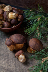 Imleria Badia or Boletus badius mushrooms commonly known as the bay bolete and clay bowl with mushrooms on vintage wooden background..