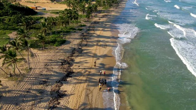 aerial drone shot of a beach on Punta Cana while people are horse riding on a beautiful sunny day. the ocean with a crystal blue color that tourist love during vacation 