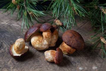 A lot of Imleria Badia or Boletus badius mushrooms commonly known as the bay bolete on vintage wooden background..