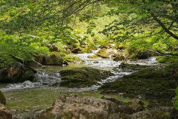 Tatra Mountains. View of the mountain river, waterfall in the mountains