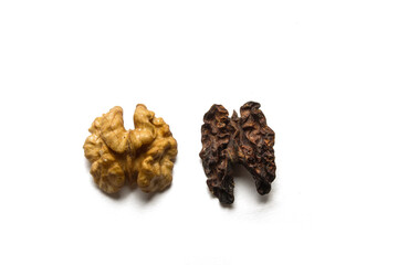 spoiled dried dark walnut on a white background