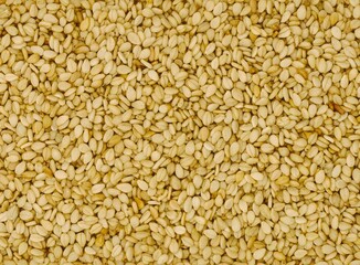 Sesame Seeds for Culinary use