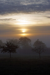 Morgennebel im Frühherbst bei Sonnenaufgang. Obstgarten auf dem Land. Schwarzwald, Deutschland.