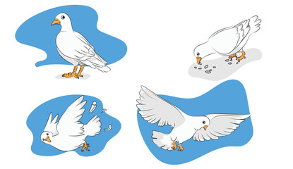 Pigeon in 4 action vector illustration
