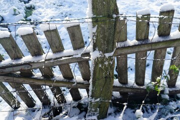 Alter grauer Holzlattenzaun mit Stacheldraht vor Schneebedeckter Wiese am Mittag bei Sonne im Winter