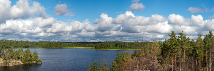 Obraz premium lake in summer on a sunny day