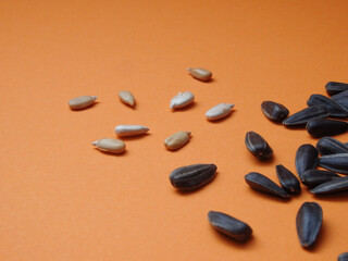 Seed of Sunflower on orange background. Close-up of delicious sunflower black seeds, isolated on orange background