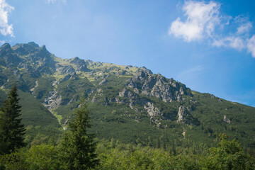 Fototapeta na wymiar Tatra Mountains. View of the mountains covered with forest