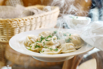 Russian pelmeni, dumplings with meat