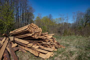 pile of pine tree planks in grass near forest. Material for building some shed