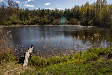 Fototapeta na wymiar wooden footbridge near pond sorrounded by forest