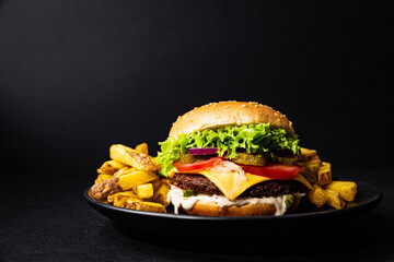 hamburger and fries - 547740880