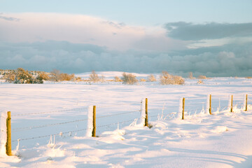 winter landscape with snow