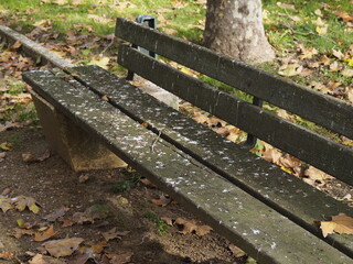 park bench with pigeon shit. Concept of lack of hygiene
