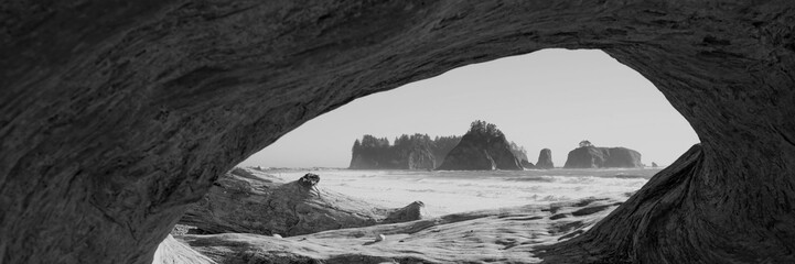 James Island on the Olympic Peninsula in Washington State seen through driftwood from Rialto Beach