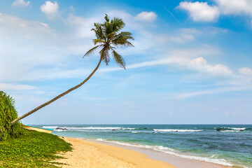 Fototapeta na wymiar Beach in Sri Lanka