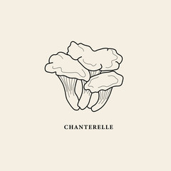 Line art chanterelle mushroom illustration © Maria