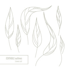 Fototapeta na wymiar Set of many vector hand drawn contour leaves on white background. Editable outlines. Elegant botanical line composition. Decorative art elements for packaging layout design, card, trendy textile print