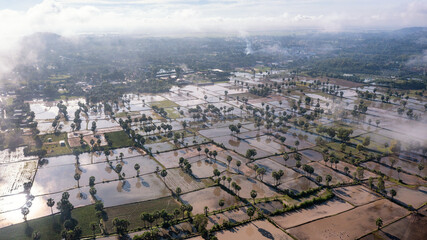 Obraz premium Beauty rice terrace with Sugar palms on sunset