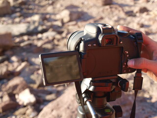 ayvalık sarımsaklı