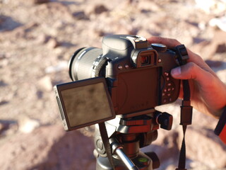 ayvalık sarımsaklı