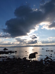 ayvalık sarımsaklı