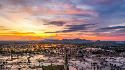 Beauty rice terrace with Sugar palms on sunset