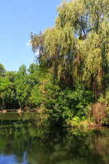 A beautiful pondon the territory  the dendrological garden of the unique Askania Nova reserve. Kherson region.Ukraine