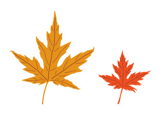 Maple leaves. Autumn season spot vector illustration - 547747883