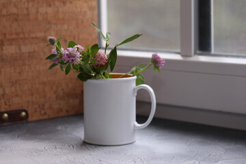 Clover bouquet in a mug on the window sill. Home decor.

