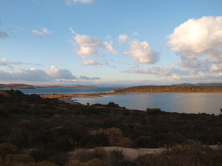 ayvalık sarımsaklı