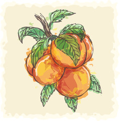 Watercolor peach branch