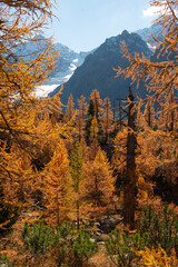 autumn in the mountains