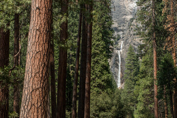 Yosemite Falls from Lower Yosemite Fall trail, Yosemite National Park, California, US