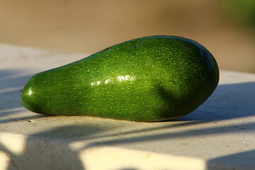 Vegetables and fruits are sold at a bazaar in Israel.