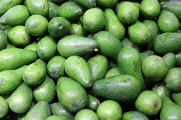 Vegetables and fruits are sold at a bazaar in Israel.