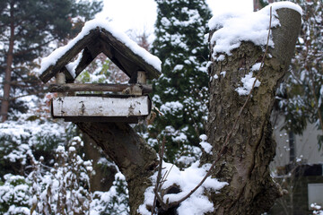 Bird feeder standing on a cut tree with snow on top of it.