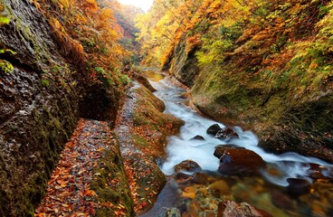 A hiking path by the rocky cliff along a stream in a gorge of colorful autumn foliage ~ Beautiful fall scenery of a river in a valley flowing between Yamagata & Miyagi, Japan