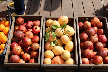 Vegetables and fruits are sold at a bazaar in Israel.