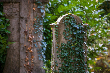 old grave yard haunted and decaying