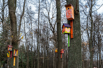 Colored painted wooden birdhouse tied to a tree trunk in a city park in autumn, several nesting boxes.